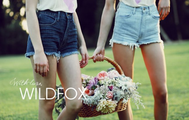 Wildfox Lookbook Simmer 2014