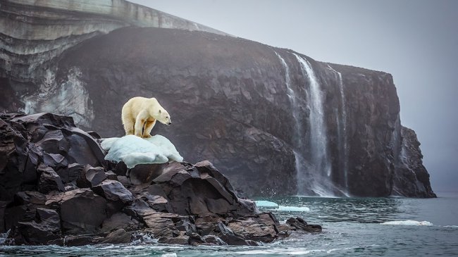 Лучшие фотографии National Geographic августа 2014