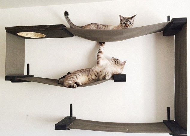 Мебель, сделанная специально для котов
