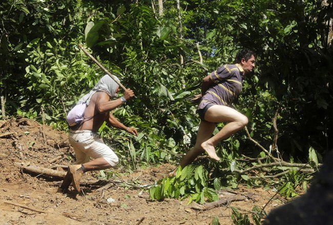 Как воины джунглей Амазонки борются с черными лесорубами