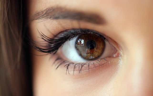 20 невероятных фактов о глазах и зрении