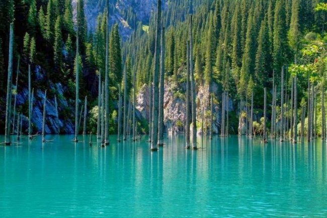 Природное чудо Казахстана — Озеро Каинды
