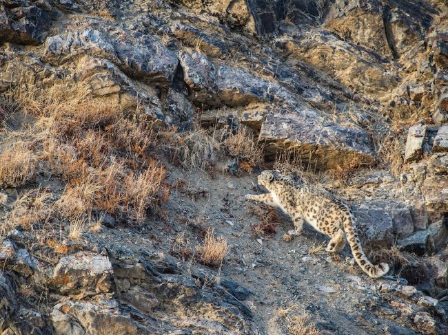 National Geographic: лучшие фотографии декабря