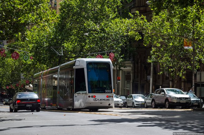 Мельбурнский трамвай