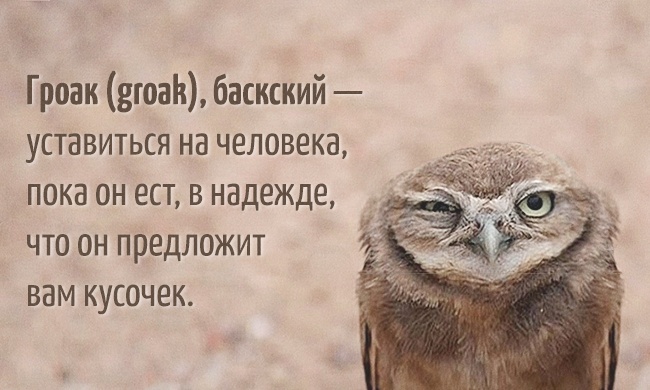 20 слов, которых нет в русском языке