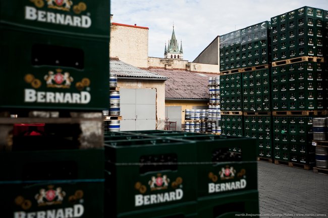 Экскурсия по чешской пивоварне «Bernard»