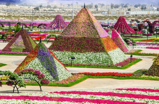 Уникальный сад в Дубае удивит даже самых придирчивых