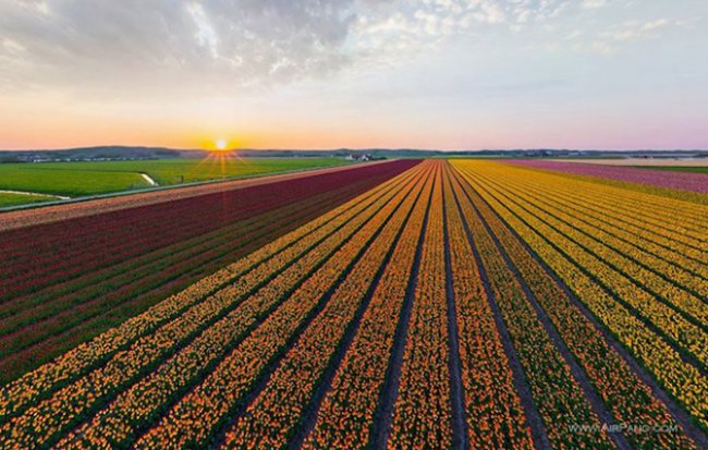 AirPano – смотри на мир глазами птицы