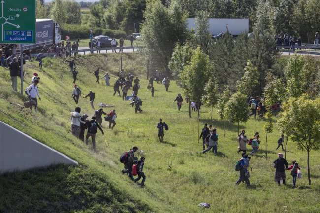 Приключения мигрантов в Европе