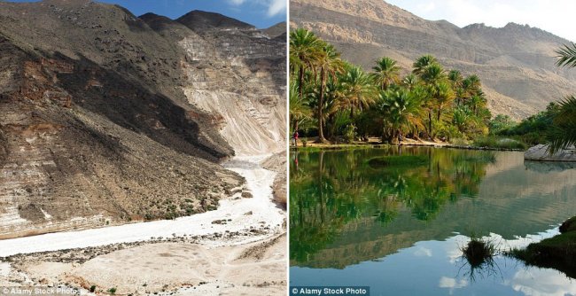 Как пустыня в Омане на три месяца перевоплощается в оазис