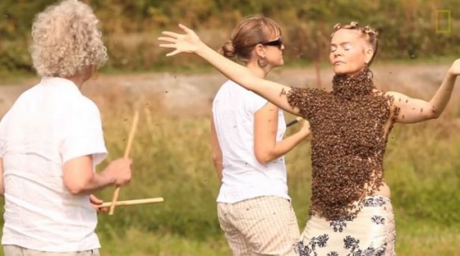 Американка исполнила танец с 10000 пчел на теле