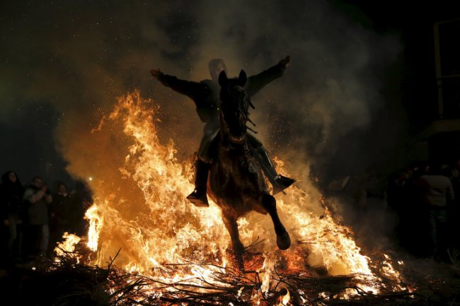 Огонь и лошади: День святого Антонио 2016
