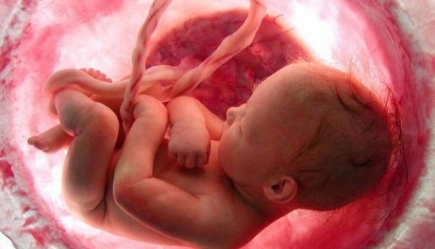 Британцам разрешили вести опыты с человеческими эмбрионами