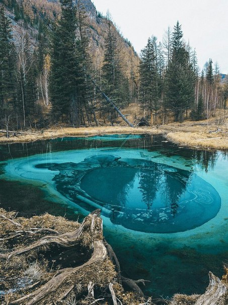 Живое гейзерное озеро необычайно красивого цвета в глубине Алтайской респуб ...