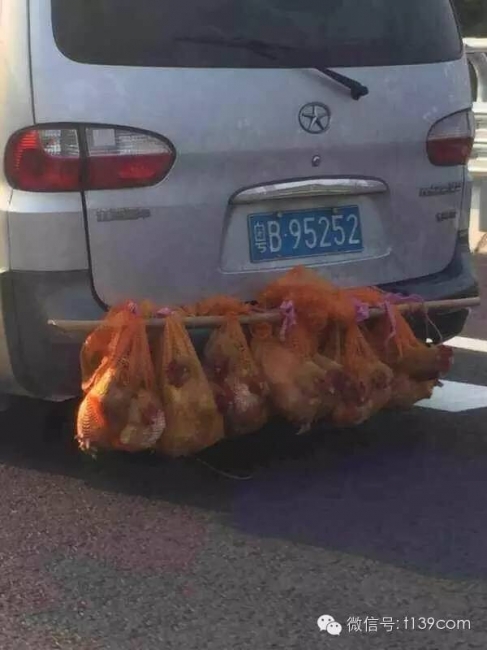 Как транспортируют живых птиц в Китае