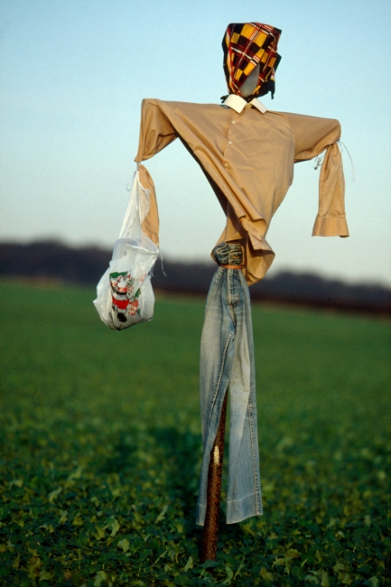 Пугала: страшные фотографии из сельской местности Англии