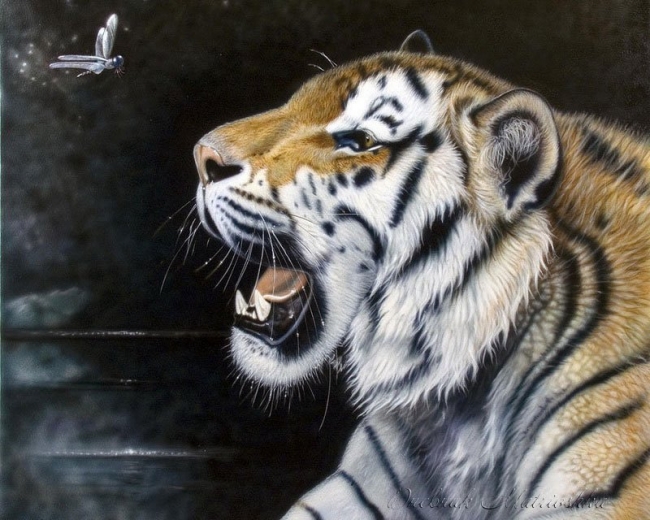 Потрясающие реалистичные рисунки животных от Sandi Baker