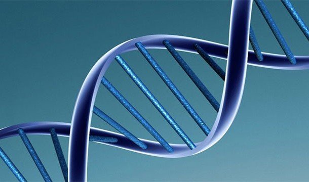 Познавательные факты про ДНК, благодаря которым вы узнаете о себе немного больше