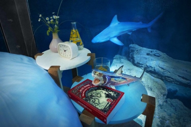Романтический ужин и ночь с акулами в Париже