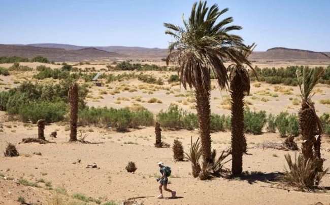 Гонка на выносливость: марафон Marathon des Sables в пустыне Сахара