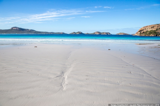 Пляж с кенгуру — одно из самых известных мест Австралии