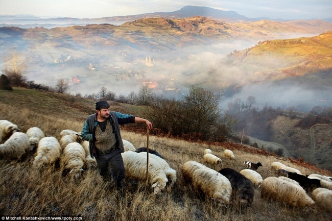 Фотоконкурс Travel Photographer of the Year: кадры, которыми гордился бы любой фотограф