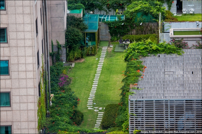 Как оживляют бетонные джунгли в Сеуле