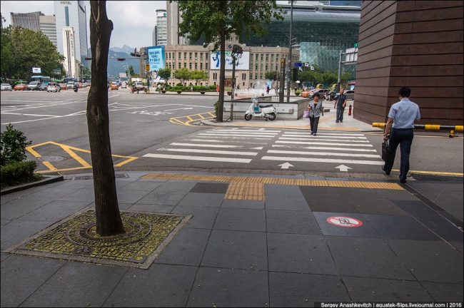 Как оживляют бетонные джунгли в Сеуле