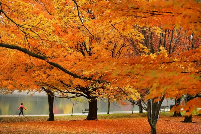 Осеннее великолепие