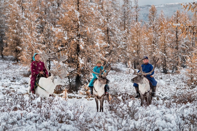 Один день жизни в монгольской семье оленеводов