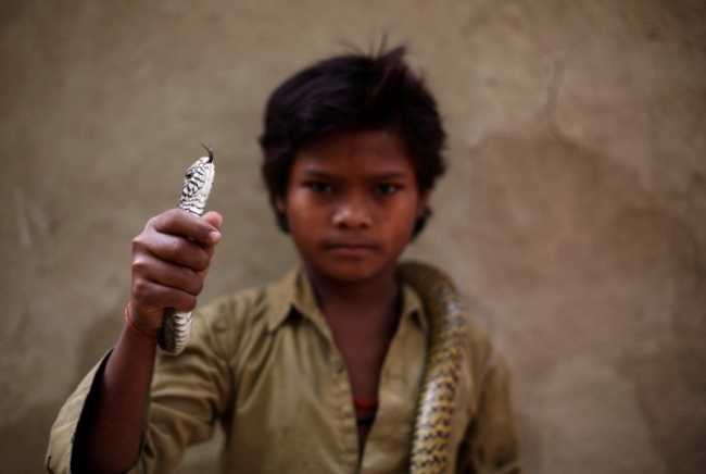 Деревня заклинателей змей в Индии