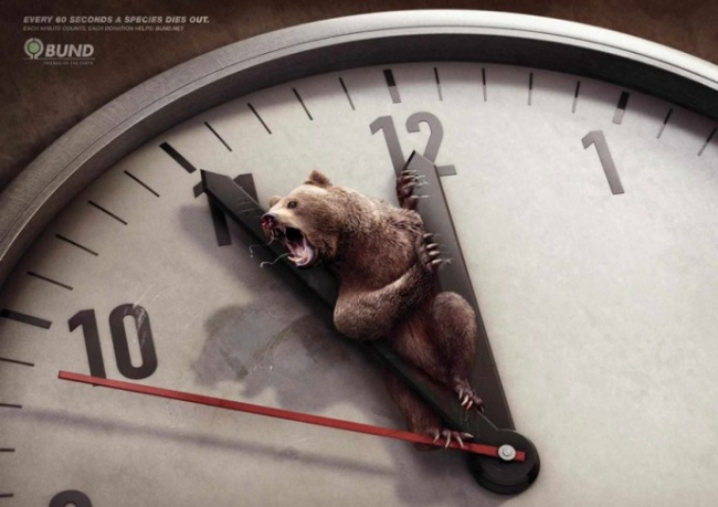 Очень мощная социальная реклама о животных