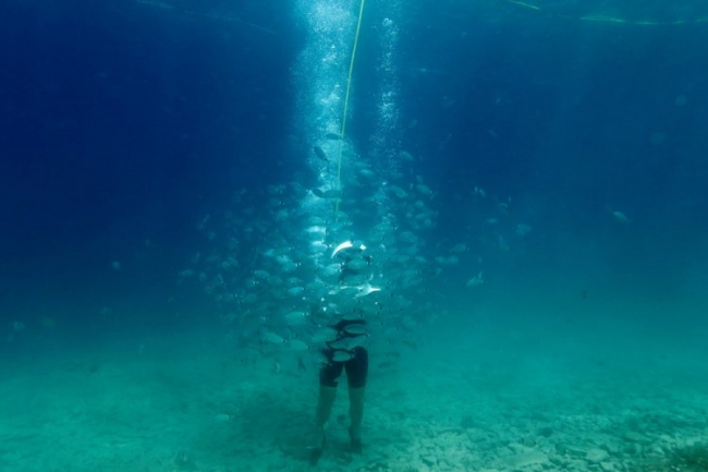 Уникальный подводный парк в Хорватии