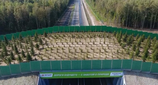 В Калужской области появился первый в России экодук