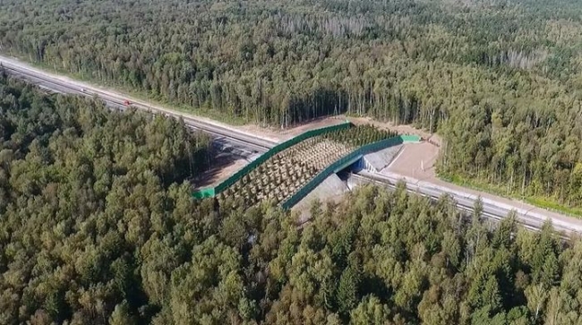 В Калужской области появился первый в России экодук