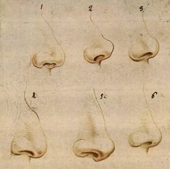 Как форма носа характеризует человека