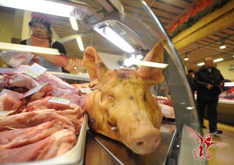 ЕС намерен «отомстить» за отказ России в покупке «иностранной» свинины