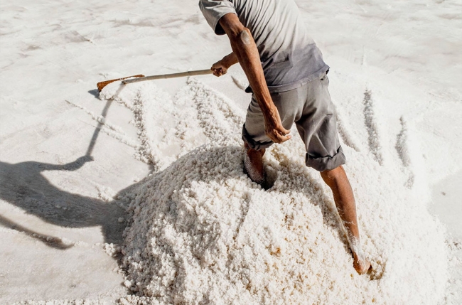 Как добывают соль в Индии