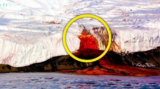 Антарктида под грифом «строго секретно»! Обнаруженное во льдах повергло в с ...