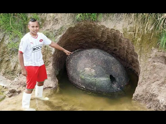 Аргентинский фермер нашел "яйцо динозавра". Странные и невероятные находки