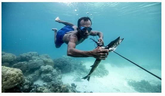 Ученые установили, что азиаты обладают способностью находиться под водой длительное время