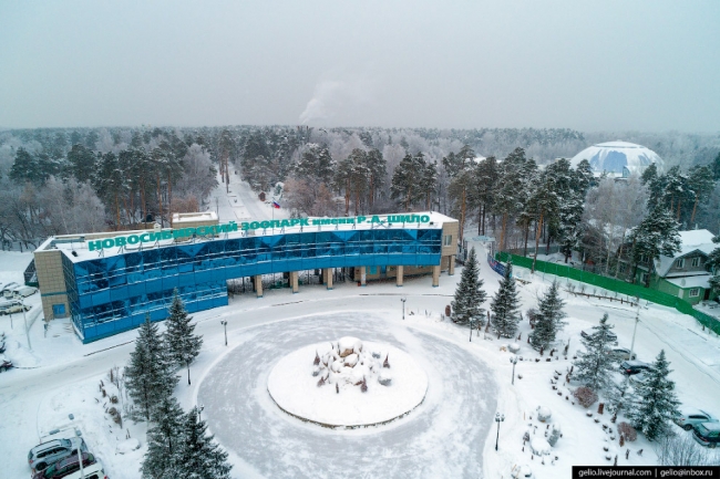 Зимний Новосибирск — 2019