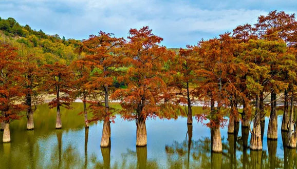 Озеро загадочных деревьев Сукко