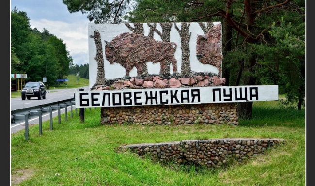 Достопримечательности Белоруссии: национальный парк «Беловежская Пуща»
