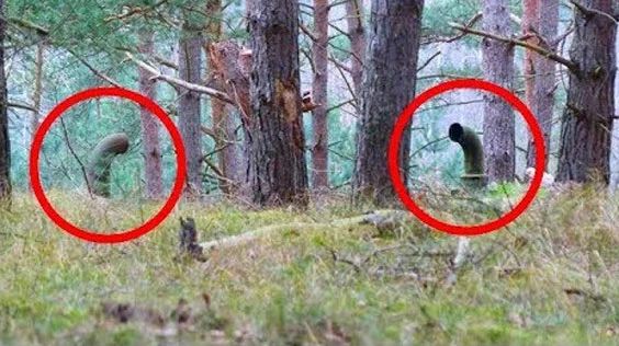Два парня нашли в лесу старые трубы. То, что находилось под ними, их порази ...