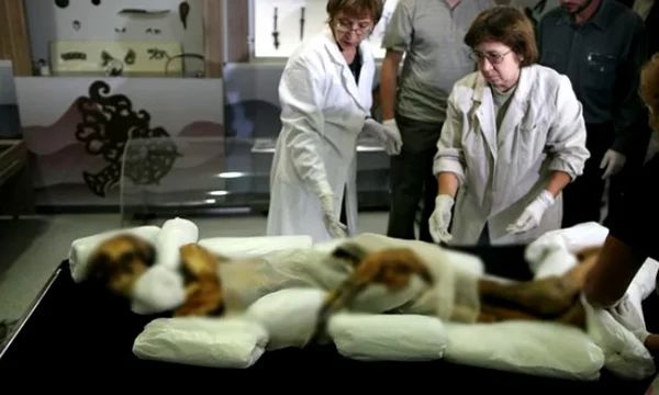 Женщине в мраморном саркофаге было 800 млн. лет? Истории и мифы о тисульской мумии найденной в СССР