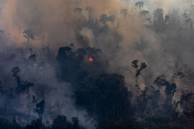 Горят Амазонские леса «легкие планеты»