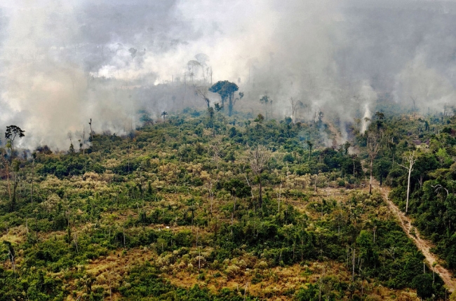 Горят Амазонские леса «легкие планеты»