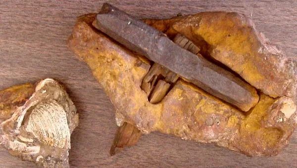 8 археологических находок, противоречащих исторической науке