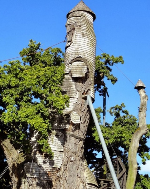 Необычные сооружения в гигантских деревьях (12 фото)
